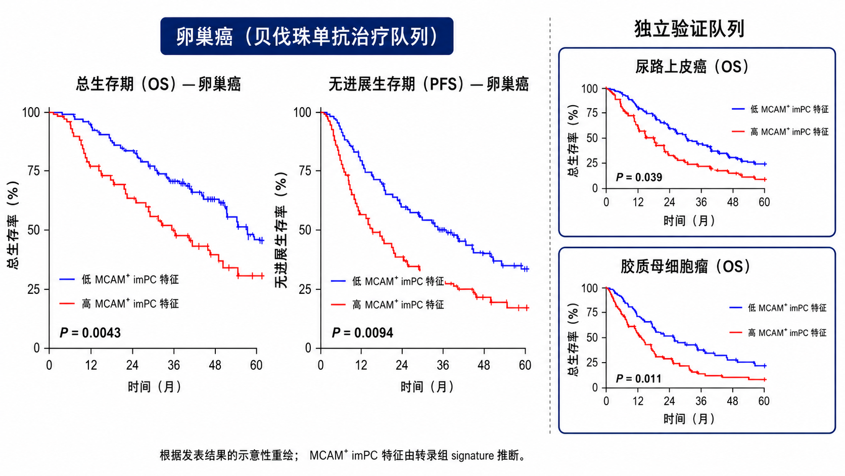 临床队列验证MCAM⁺ imPC特征与预后的关系